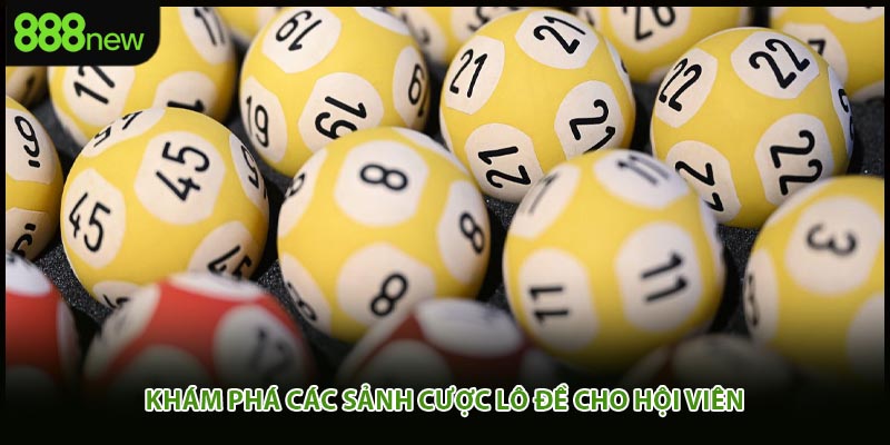 Khám phá các sảnh cược lô đề cho hội viên